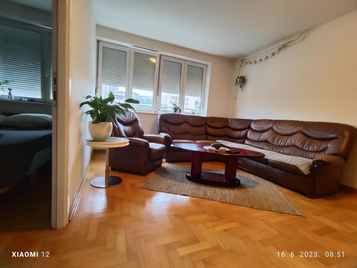 Srecko No3 Daire Belgrad Dış mekan fotoğraf
